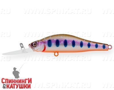 Arctic Char (EG-125DL-SP#A142-264)