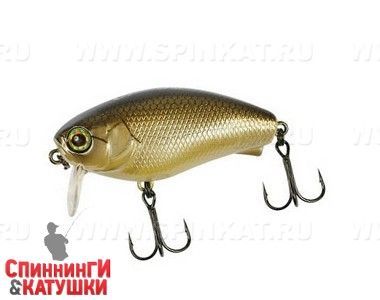 Noike Gold Bera