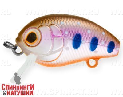 Arctic Char (EG-036F#A142-264)