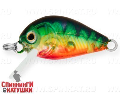 Transparent Perch (EG-182-SP#A102G)