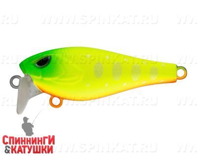 Lemon Mat Tiger (EG-239#A178S)