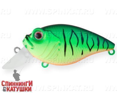 Mat Tiger (EG-043SP#GC01S)