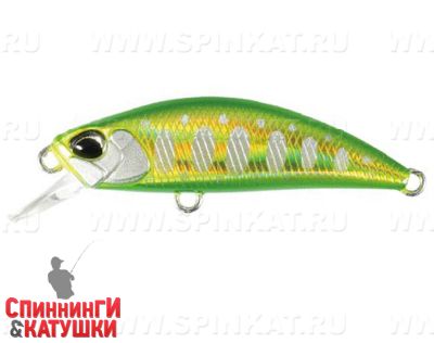 #ANA4099 Double Green Gold Yamame