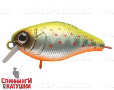 Mat Motley Trout (EG-164F#A190ES)