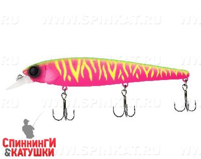 Dragon fruit mat tiger