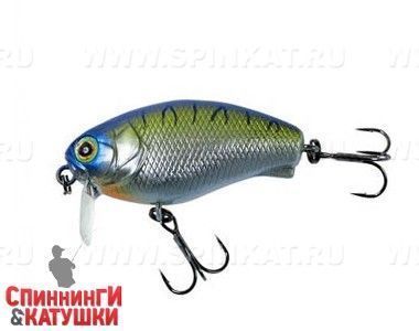 Chrome Tiger