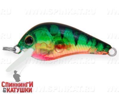 Transparent Perch (EG-184-SP#A102G)