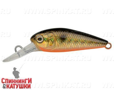Black Back Smoked OB (EG-197SP#613-713)