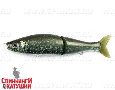 #INT02 Northern Pike