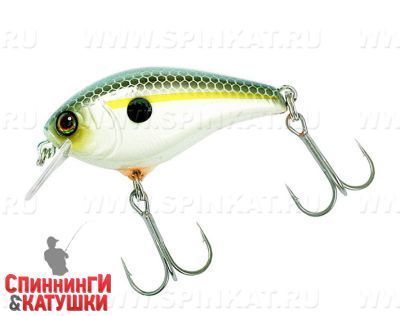 Ss shad