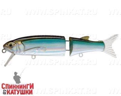 EG-157-SP#611T