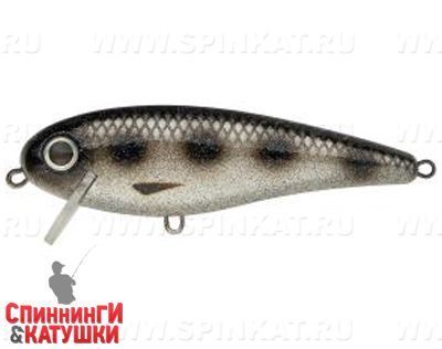 Silver Spotted Bullhead (EG-205B#A249F-3D)