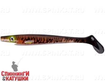 Burbot (SP-172M#147)