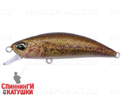 #CCCZ214 RP Loach
