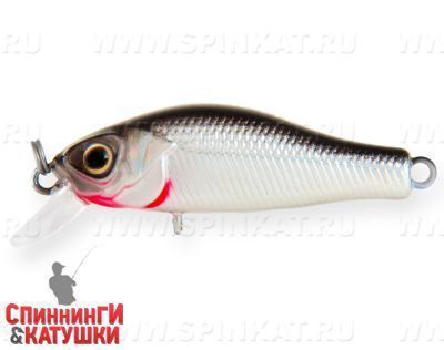 Black Back Silver (EG-125E-SP#A010-EP)