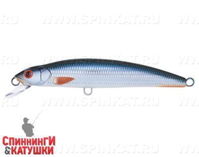 Whitefish (MG-005F#C384F)