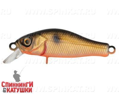 Black Back Smoked OB (EG-125E-SP#613-713)