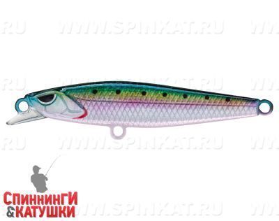 Pacific Sardine (EG-241#692-713-RP)