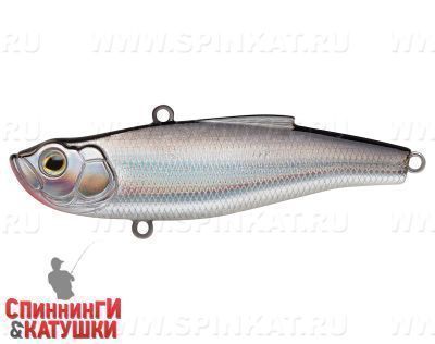 Black Back Silver (SP-198S#A010-EP)