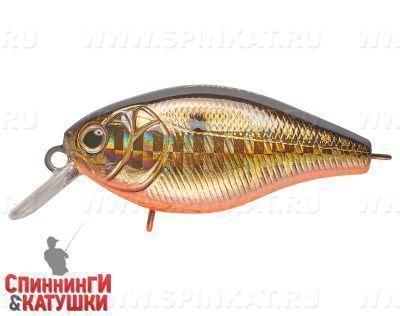 Black Back Smoked OB (EG-164F#613-713)