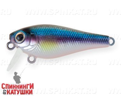 Rainbow Ghost Wakasagi (JS-259B#A210-SBO-RP)