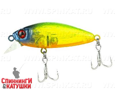 Lime squash