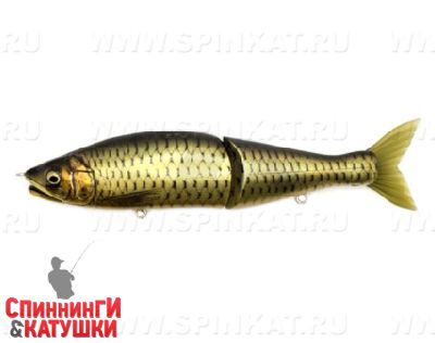 #INT09 Real Gold Shiner