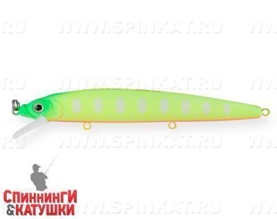 Lemon Mat Tiger (EG-034F#A178S)