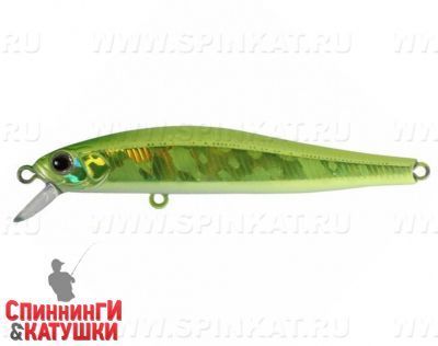 317 E.M/Shiney Lime