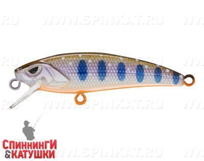 Arctic Char (EG-244#A142-264)