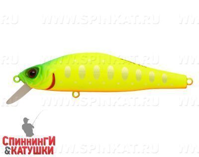 Lemon Mat Tiger (EG-125A-SP#A178S)