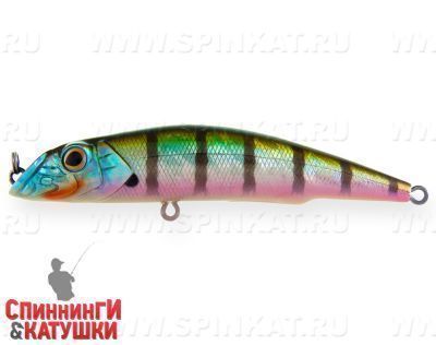 Bluegill (EG-024A#630V)