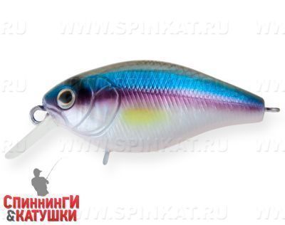 Rainbow Ghost Wakasagi (EG-164F#A210-SBO-RP)