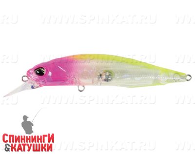 SW #CLA0602