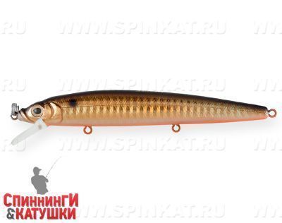 Black Back Smoked OB (EG-034F#613-713)