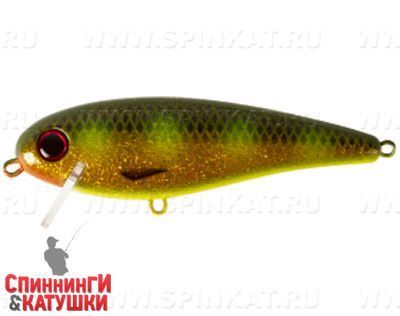 Hot Spotted Bullhead (EG-205B#JV011)