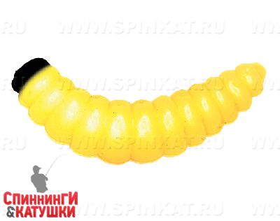 #016 Yellow Corn