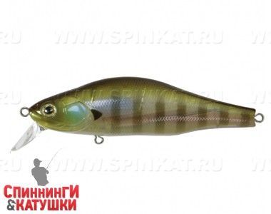 082 Ghost Gill