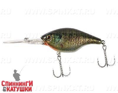 Rt blue gill