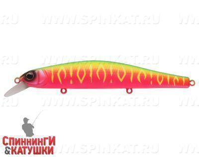 Watermelon Mat Tiger (EG-193A-SP#A230S)