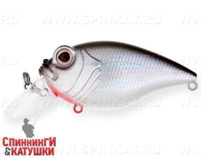 Black Back Silver (EG-043SP#A010-EP)