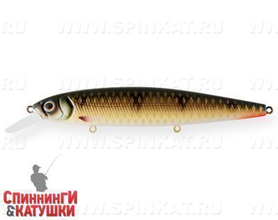 Golden Perch (EG-191A-SP#C382F)