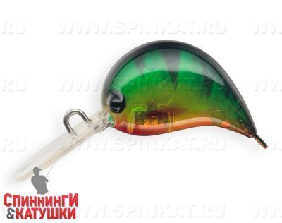 Transparent Perch (JS-310#A102G)