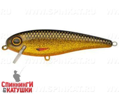Golden Roach (EG-205#A256)