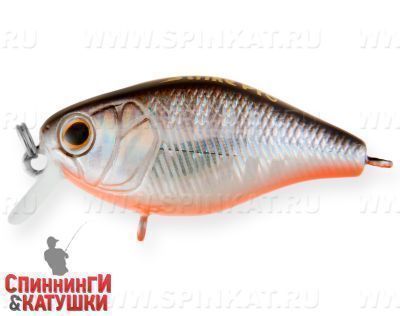 Black Silver OB (EG-164F#A70-713)