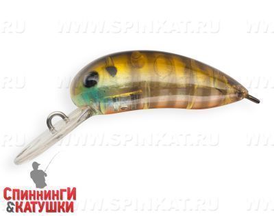 Broun Gill Transparent (JS-322#A68G)