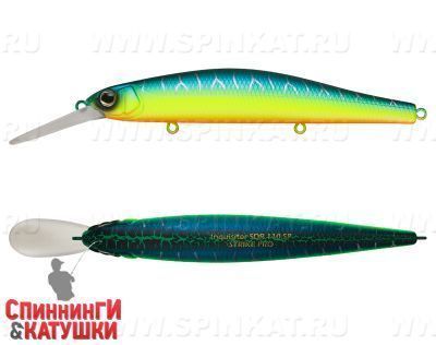 Pearl Mat Tiger (EG-193BXL-SP#A223S-RP)