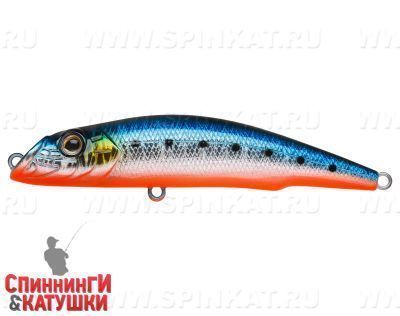 Blue Back Silver OB Fluo (EG-024A#A234-SBO-LU)