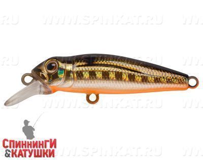 Black Back Smoked OB (EG-074SP#613-713)