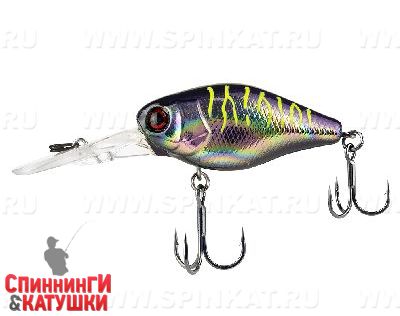 Uv ul tamamushi tiger